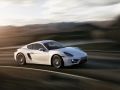 2013 Porsche Cayman (981c) - Technical Specs, Fuel consumption, Dimensions